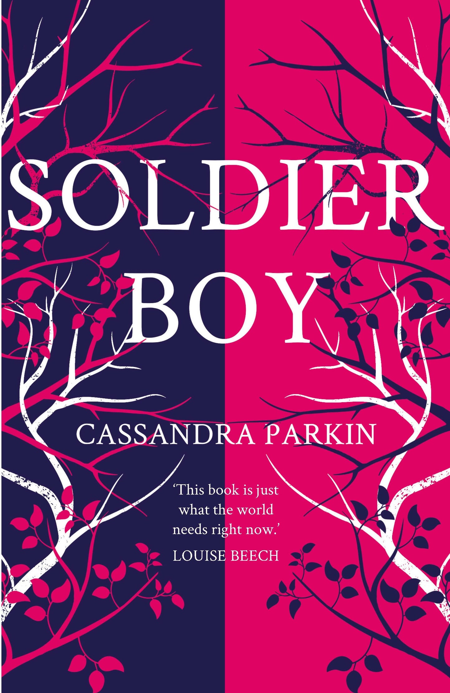 Soldier Boy